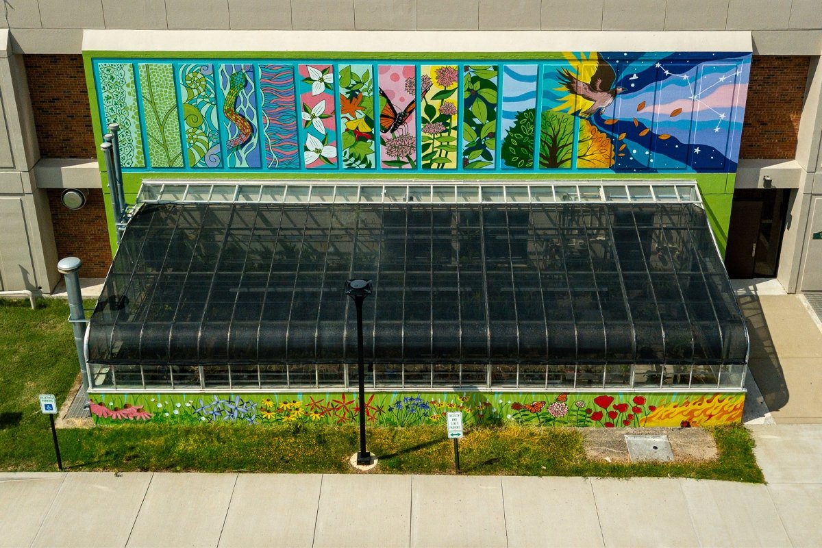 Mural on the wall above and below the greenhouse