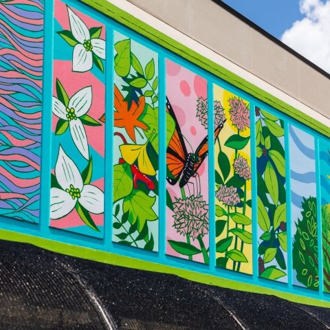 Murals outside the greenhouse on campus