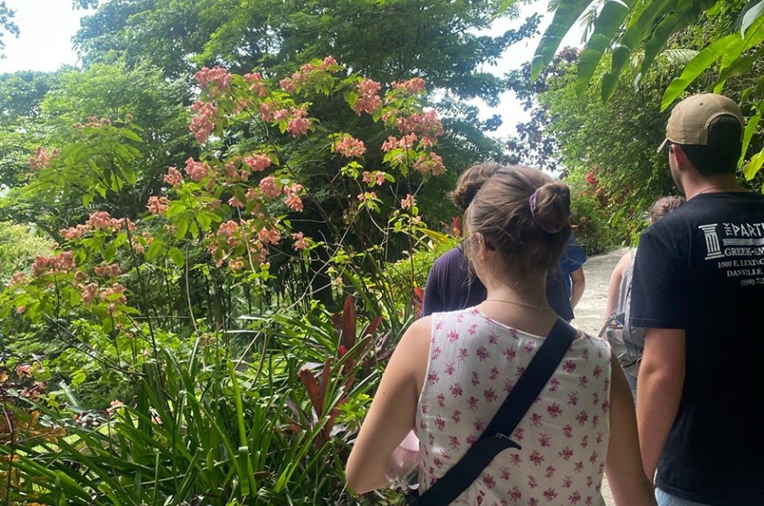 Students traveled to Barbados during the summer of 2023 in the course, "Research in Primate Behavior."