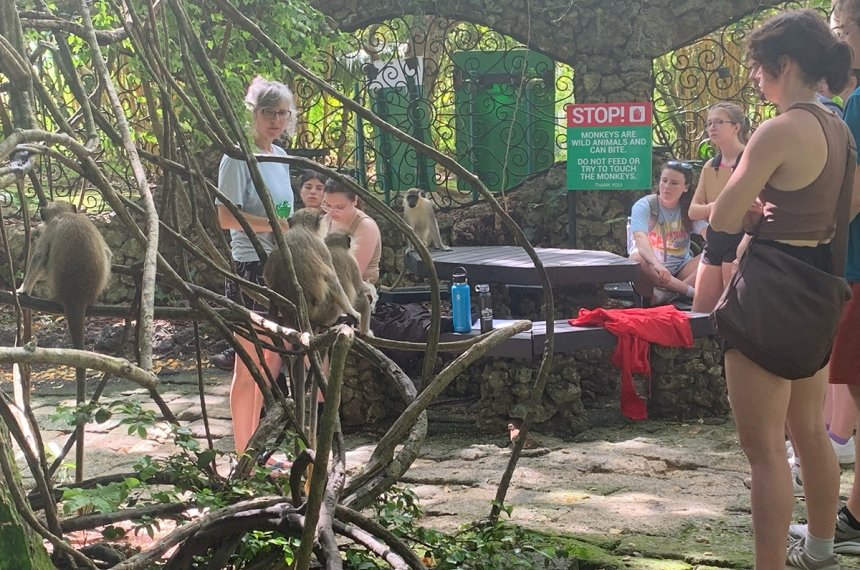Students traveled to Barbados during the summer of 2023 in the course, "Research in Primate Behavior."