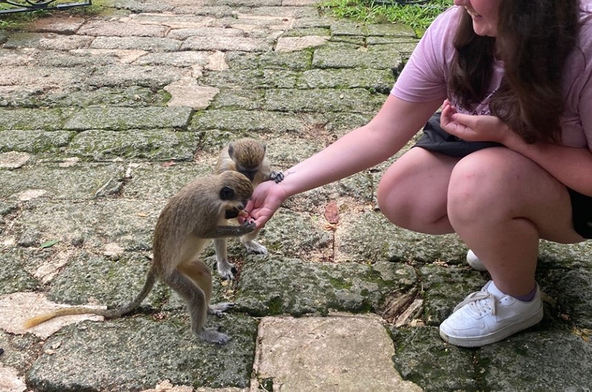 Students traveled to Barbados during the summer of 2023 in the course, "Research in Primate Behavior."