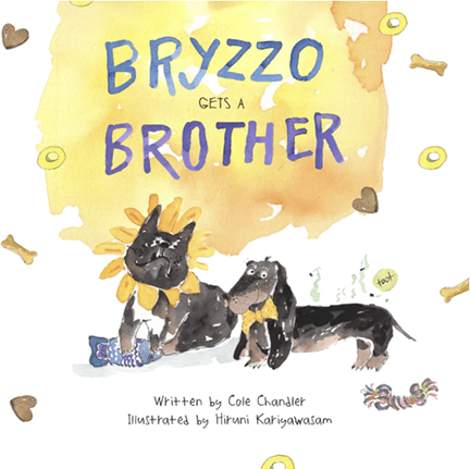 A book cover shows the title "Bryzzo Gets a Brother." 