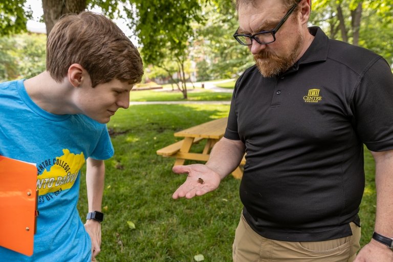 A young man in a blue t-shirt and an older man in a black polo shirt examine a cicada being held in the second man's hand. 