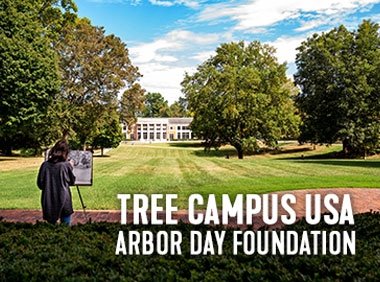 Tree Campus USA titled photo of campus trees